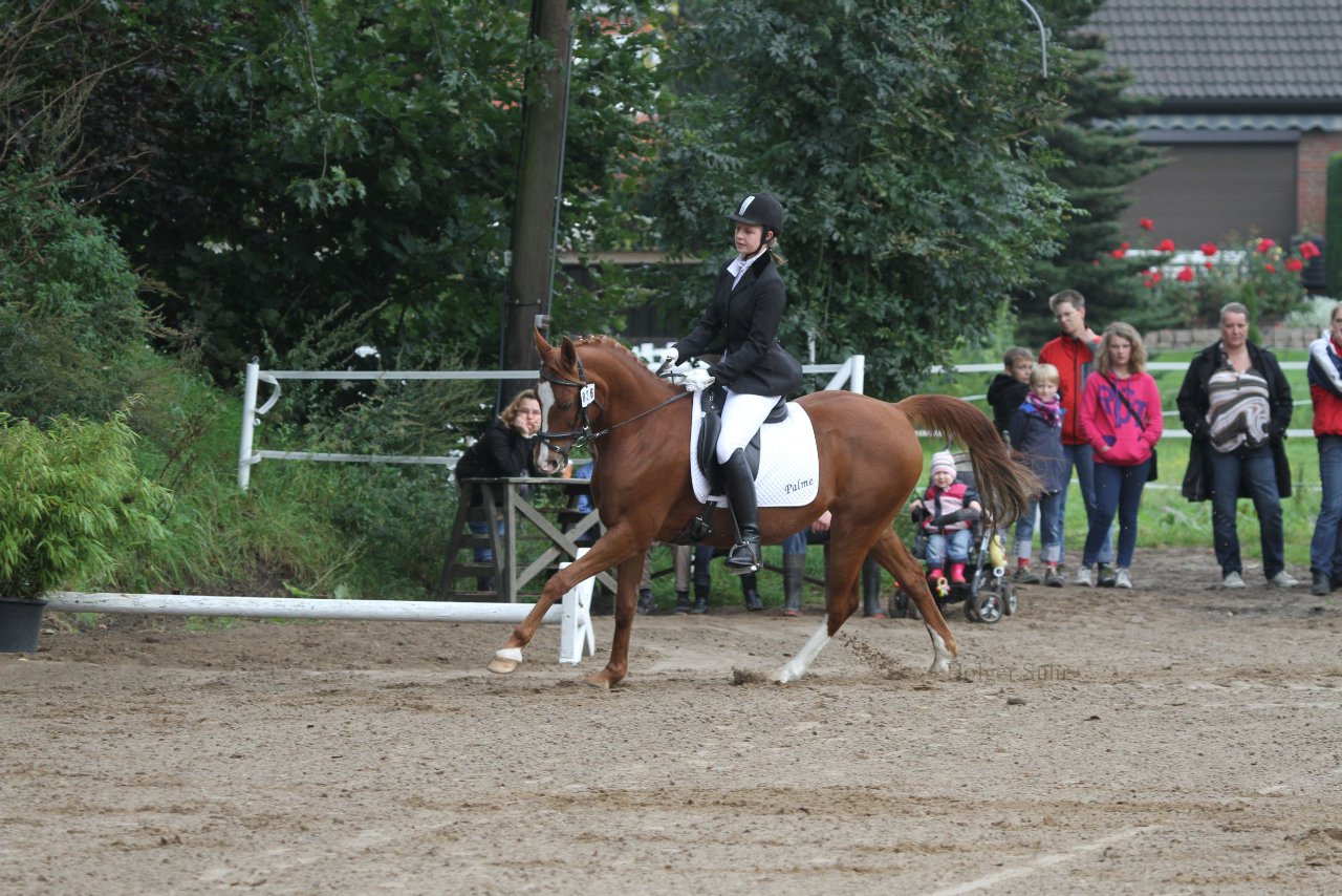Bild 53 - WBO-Turnier am 18.9.11
